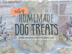 Bone-appetite, Friends! It's treat time!
