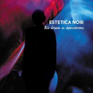 Recensione: Estetica Noir "This Dream In Monochrome"