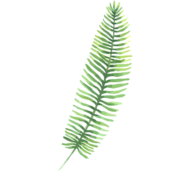 Green Fern Leaf