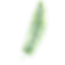 Tropische Blätter 3