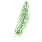 Tropical Leaves 3