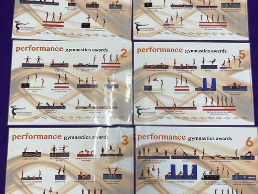 Performance gymnastics awards