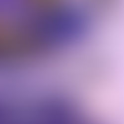 Easter Activity Camps