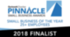 finalist-small-business-25+ (002).png