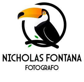 Nicholas Fontana Fotografia logo