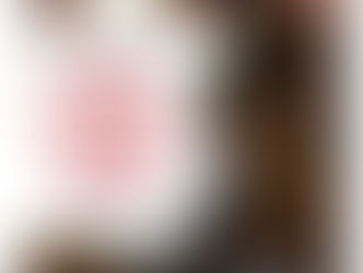 365+ reviews of 2017