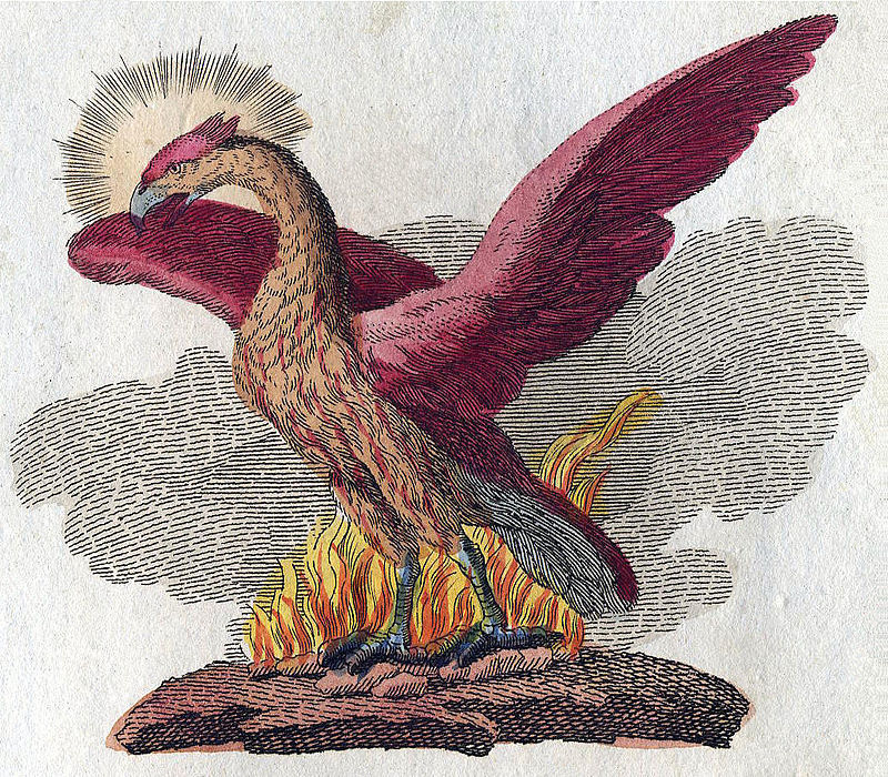 Not a Thunderbird, but another Fantastic Beast, a Phoenix.