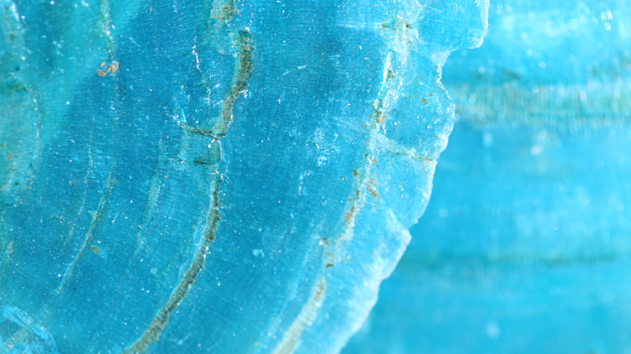WIX Home Page Background.png