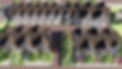 Prairie Street.jpg
