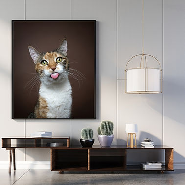 Cat sticking its tongue out on canvas wallart