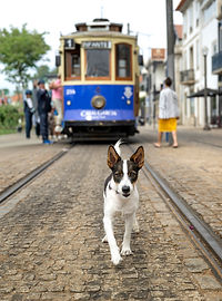 DSC_5590-Edit.jpg