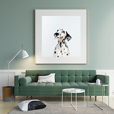 Pet photography Wall Art