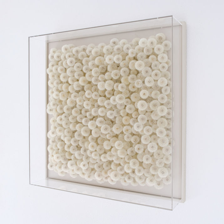 Natural art with dandelions and by Hilde Trip