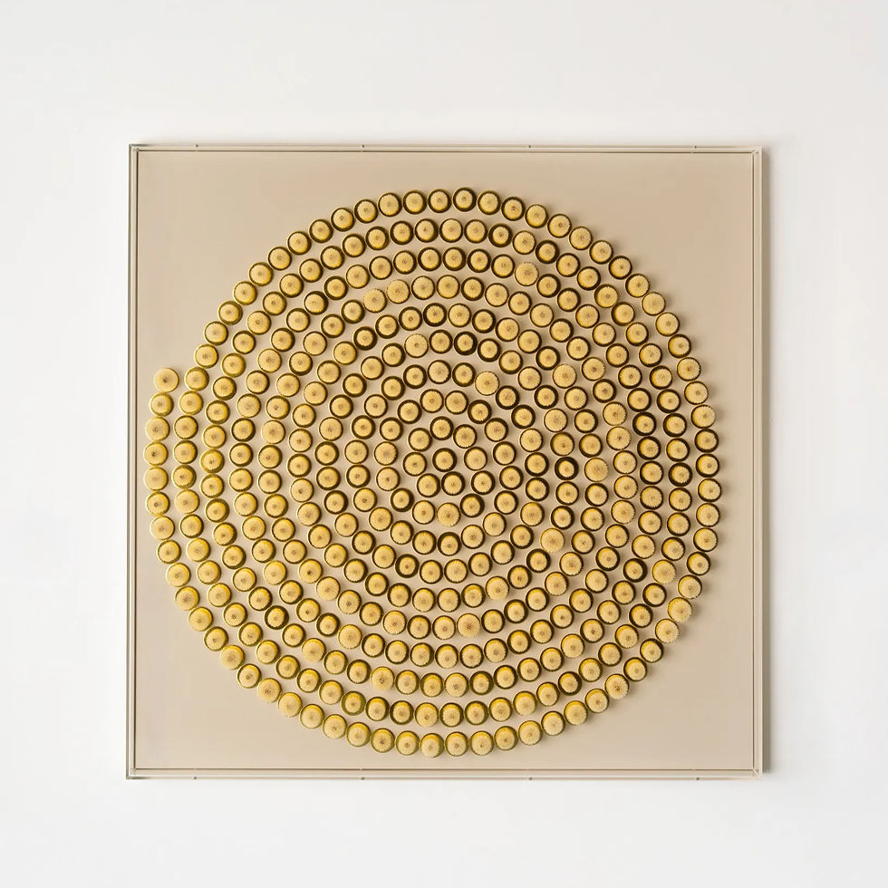 Miniaturbild: Naturkunstwerk von Hilde Trip mit konzentrisch angeordneten Pusteblumen mit beigem Hintergrund