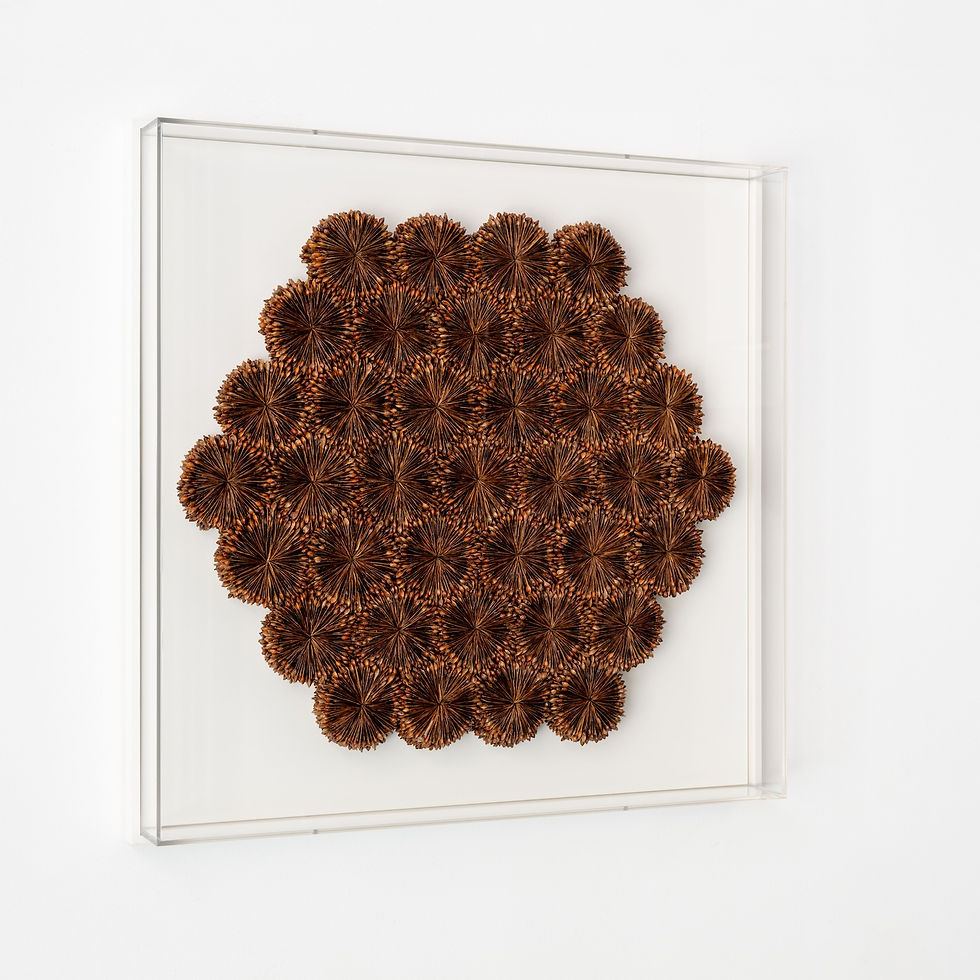 Miniaturbild: Seitenansicht des Kunstwerkes "Radar Love" aus getrockneten Ahornsamen auf beigem Grund von Hilde Trip