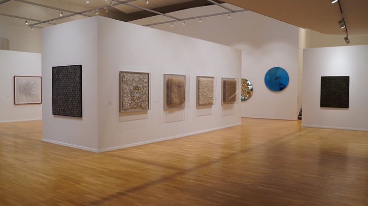 Ausstellungsansicht Galerie mit 9 Kunstwerken Zeichnung Naturkunst und runde verspiegelte Metallkunst an weißen Wänden und Holzboden
