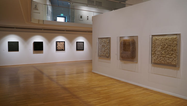 Ausstellungsansicht Galerie mit 7 quadratischen Kunstwerken aus Naturmaterialien an weißen Wänden und Holzboden
