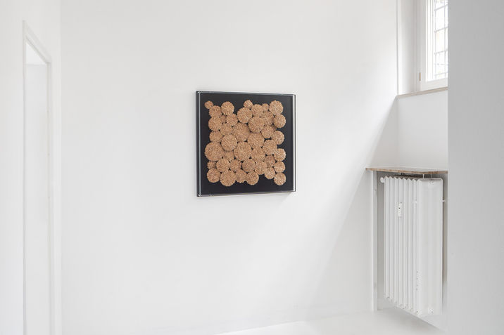 Quadratische Naturkunst von Hilde Trip aus Plattährengras in Frankfurter Galerie