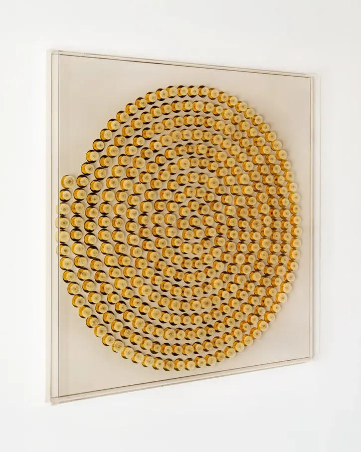 Großes quadratisches Naturkunstwerk von Hilde Trip aus Pusteblumen, Blattgold, Holz und Acrylglas an weißer Galeriewand