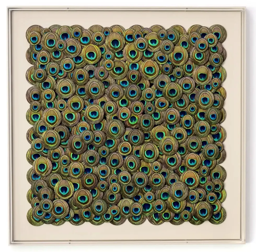 Kunstwerk „Watch Me“ von Hilde Trip, Wandobjekt aus Pfauenfedern, 82,5 × 82,5 × 5,5 cm