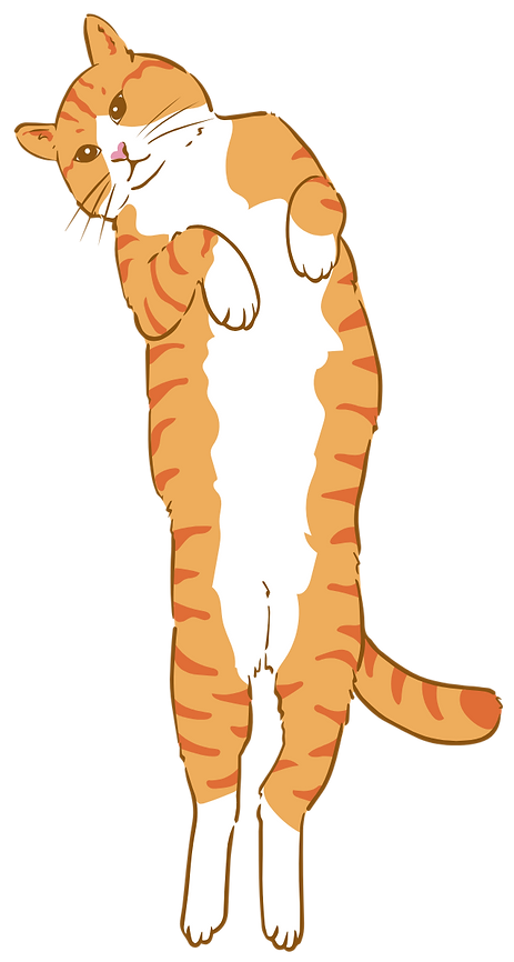 紺 猫 イラスト シンプル かわいい LINE背景 (6).png