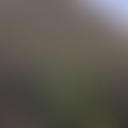 Southwestern Turkey. Yeehaw!