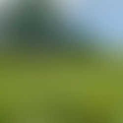          Assateague Island, MD & VA