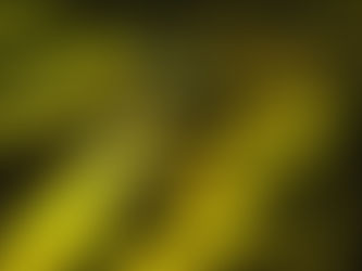 Photos: Creeping Things