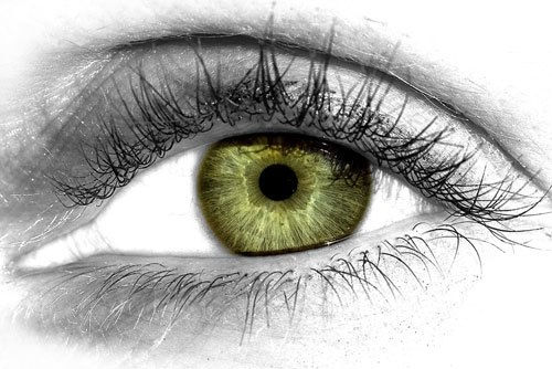 Window of the Soul