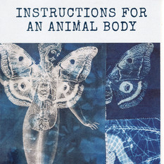 Instructions For an Animal Body.jpeg