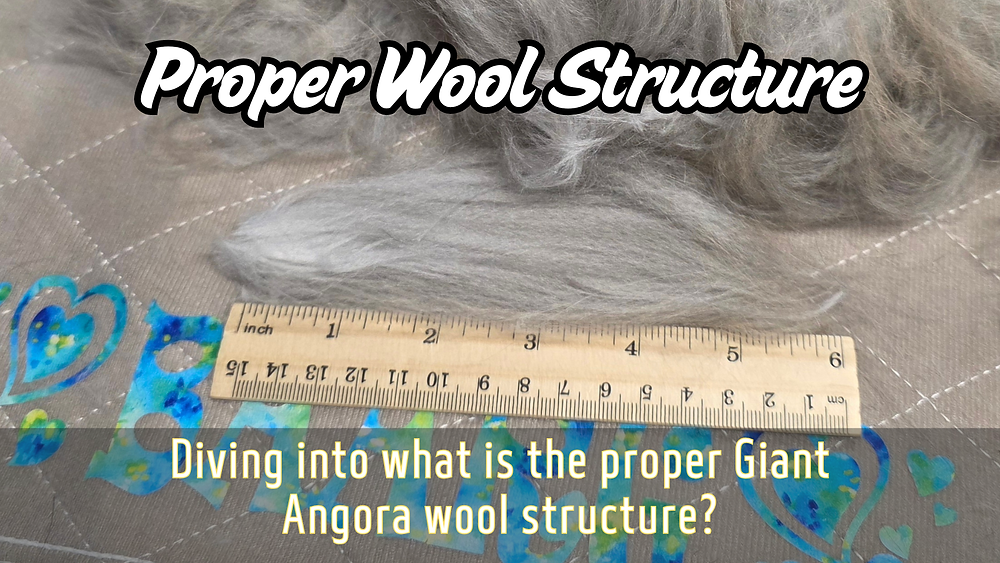 First Angora Structure Seeing Wool Differently: Giant Angora Structure Explained