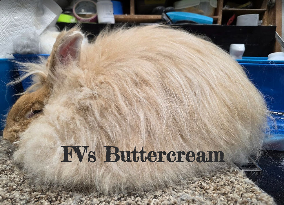 Screenshot 2026-04-26 205723_edited.jpg