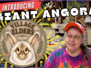 Introducing The Giant Angora Village Elders
