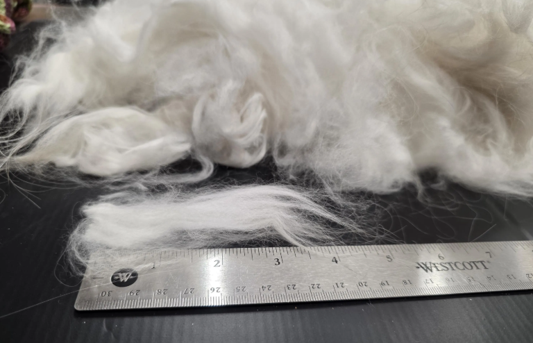 Thumbnail: Betty Chu's Prime English Angora Raw Wool