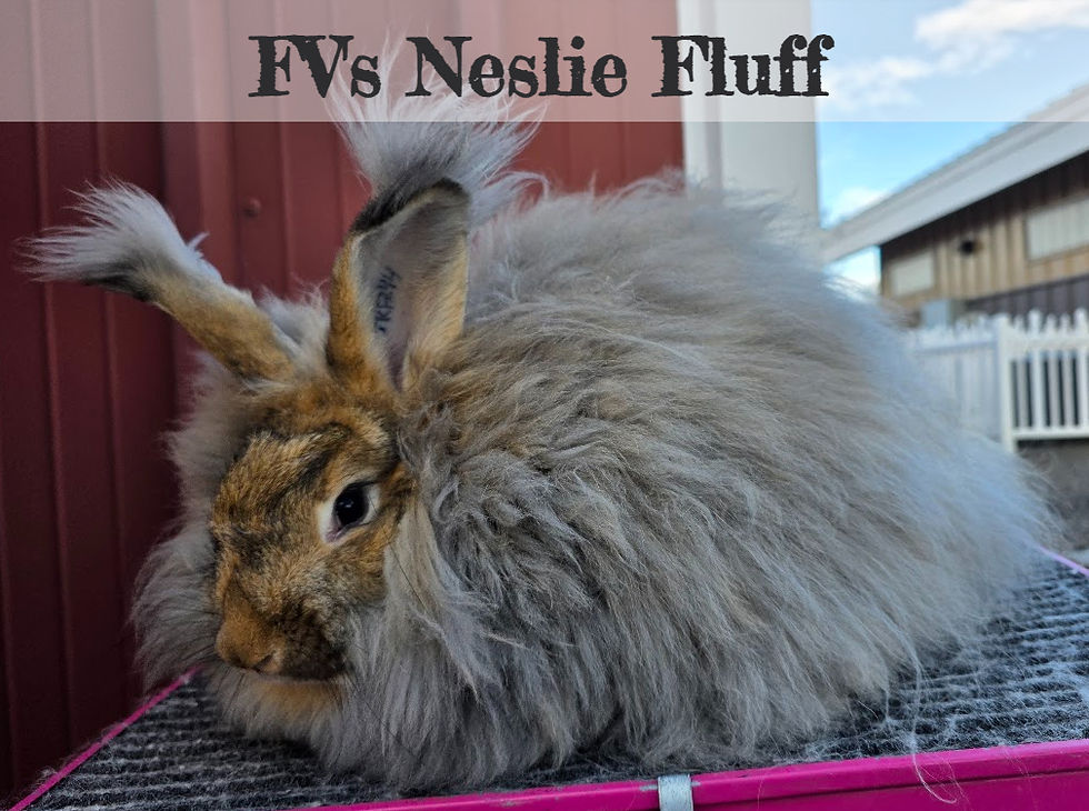 FV's Neslie Fluff