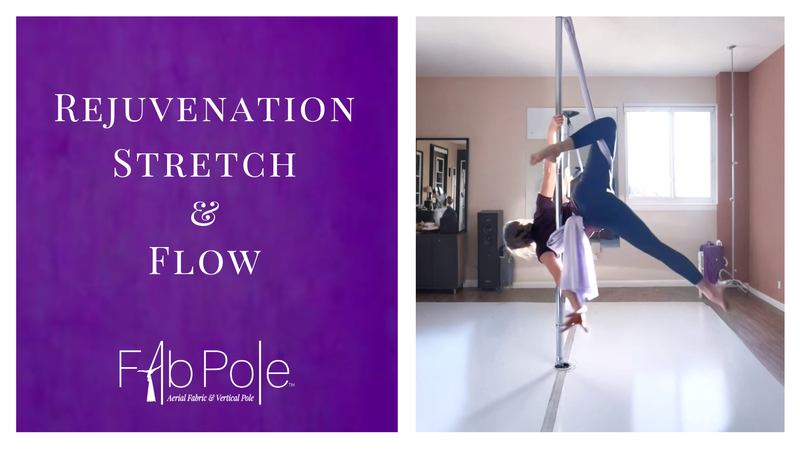 girl in an aerial fabric pole with a silver pole