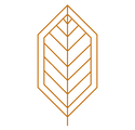 Graphic Leaf_edited_edited.png