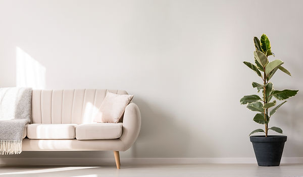 Minimalist Living Room_edited.jpg