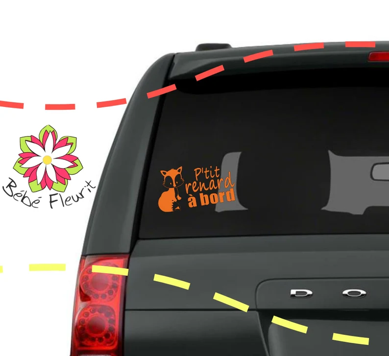 P'tit renard à bord