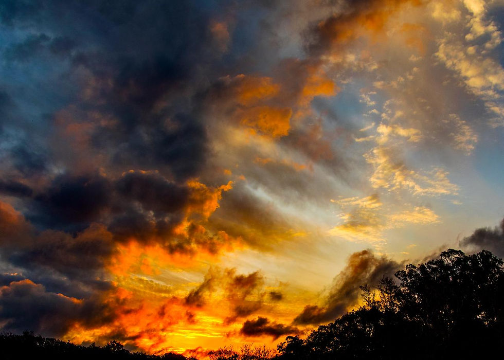 WhatsApp Image 2026-02-20 at 18.41.43.jpeg