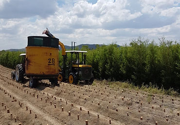 PHOTO-2022-09-27-08-49-34 2_edited.jpg