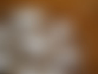 Basic&Advanceクラス募集開始