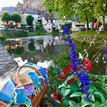 leuke picknickmarkten