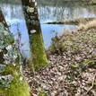 beekjes, riviertje, bronnen, poelen, vijvers, meertje, kwel, moeraszones; alle zoetwatervormen zijn vertegenwoordigd op La Faye