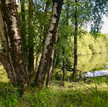 wegdromen langs de oevers