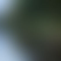 Sandall Park Doncaster