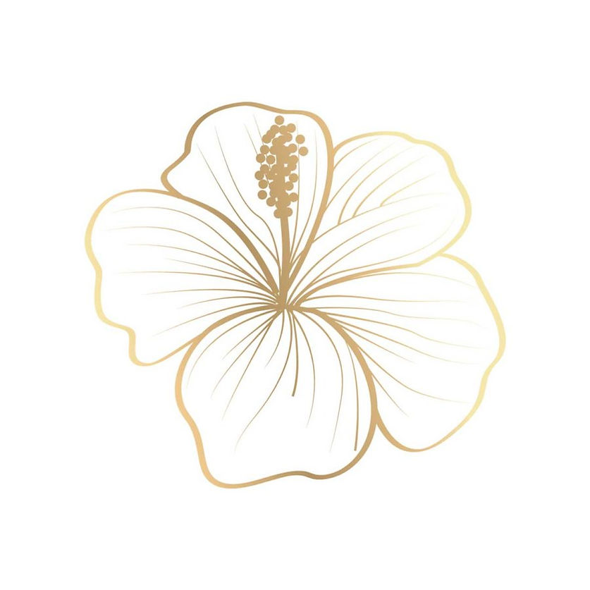 1-sticker-autocollant-cadox-fleur-d-hibiscus--2264576.jpg