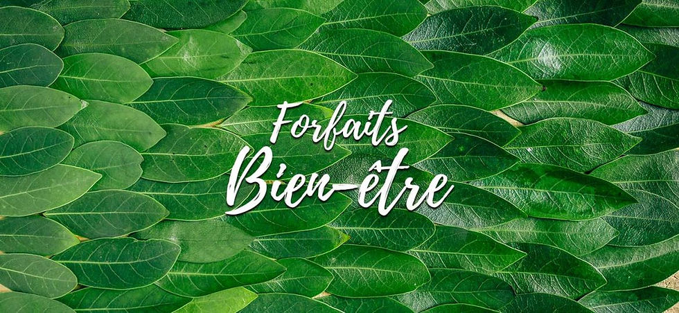 forfaits-bien-etre-departement-77-paris-thegem-blog-default.jpg