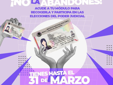 El INE informa:
390 credenciales para votar podrían resguardase por el Proceso Electoral del Poder Judicial si sus titulares NO las recogen el día de hoy.