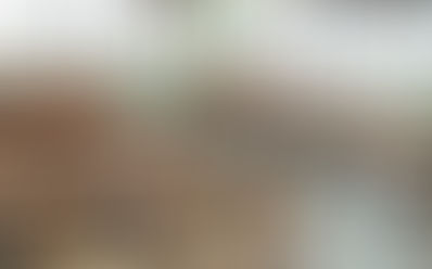 Escuelas de nivel básico han tenido que cerrar por falta de alumnos: Snte39